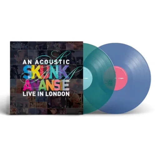 AN ACOUSTIC SKUNK ANAN... 