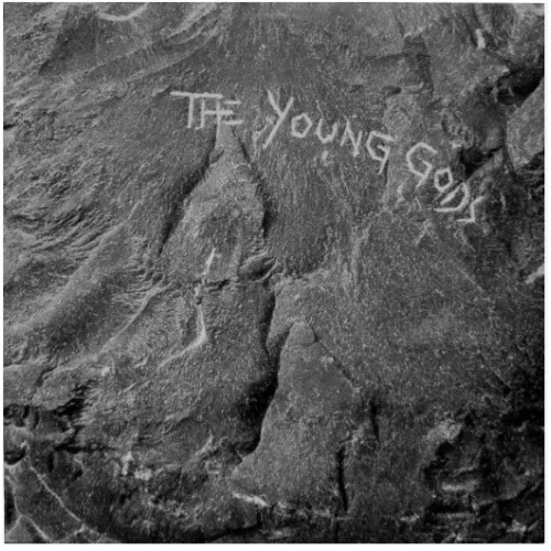 The Young Gods LP