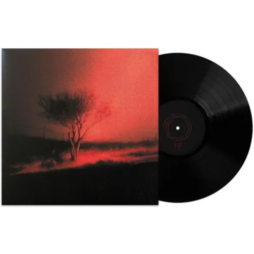 Piss In The Wind LP