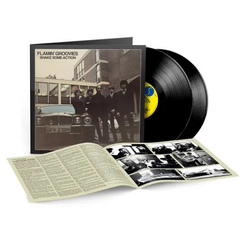SHAKE SOME ACTION (140 GR 12" INDIE EXCL.-LTD.)