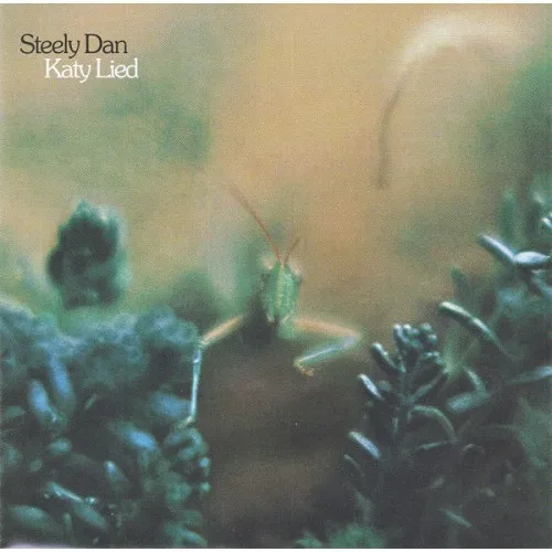 KATY LIED