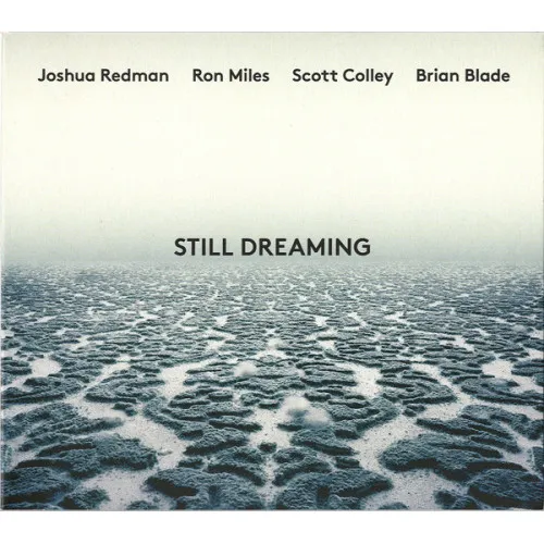 STILL DREAMING