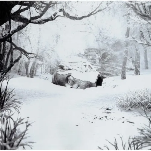 SZNZ: WINTER (CD EP)