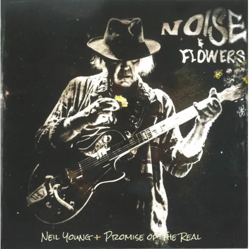 NOISE AND FLOWERS