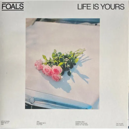LIFE IS YOURS