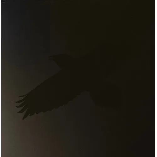 ODINS RAVEN MAGIC