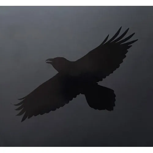 ODINS RAVEN MAGIC