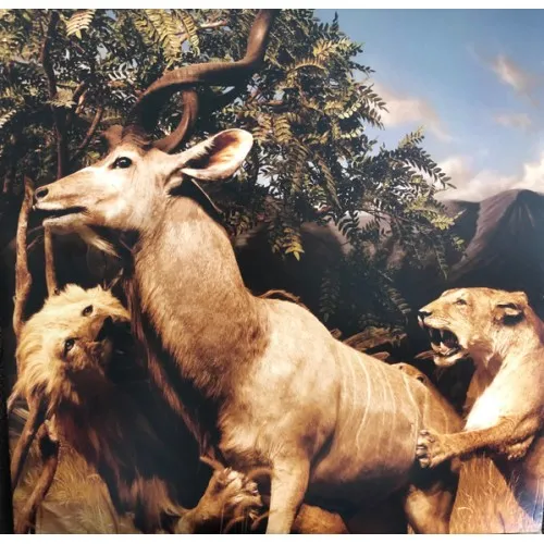 Interpol - OUR LOVE TO ADMIRE