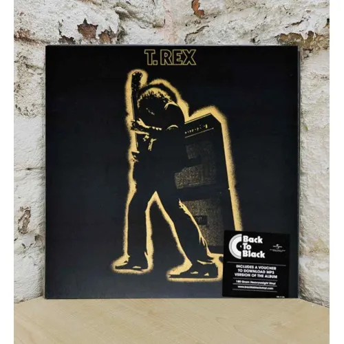 ELECTRIC WARRIOR