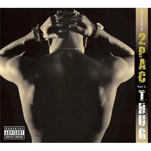 The Best Of 2Pac Pt. 1: Thug..