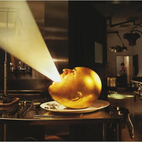 DELOUSED IN THE COMATORIUM