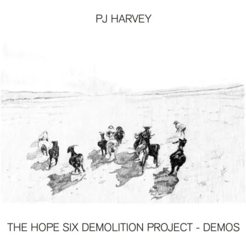 The Hope Six Demolition Project - Demos