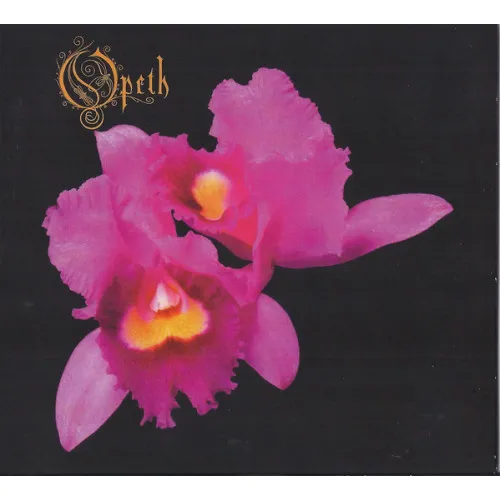 ORCHID
