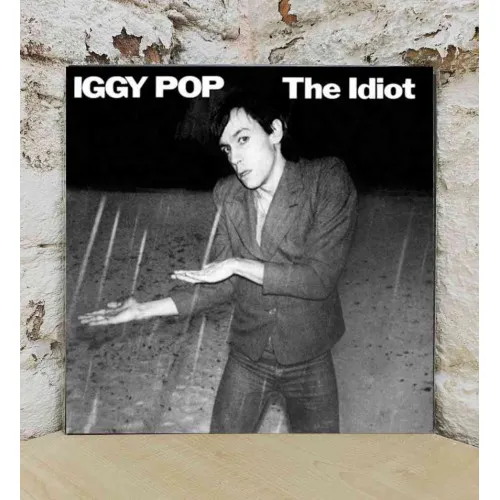 THE IDIOT