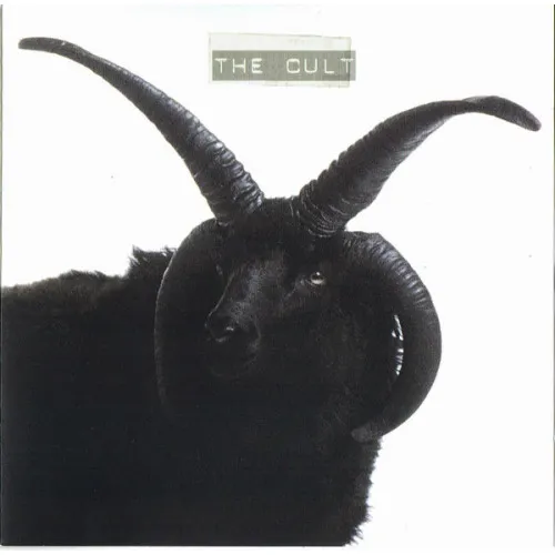 THE CULT