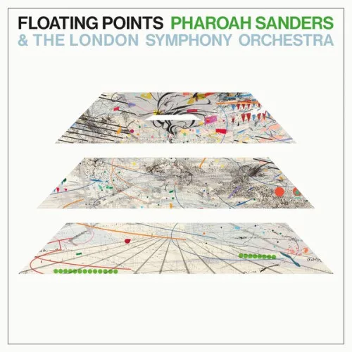 Symphony Orchestra Floating Points - Promises