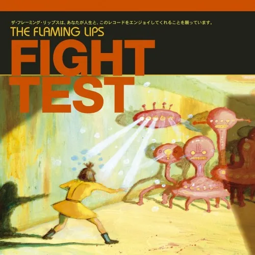 FIGHT TEST (140 GR 12