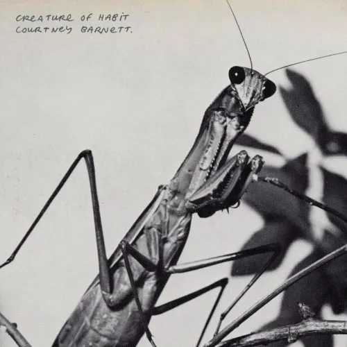 Creature Of Habit LP MARBLED INDIE