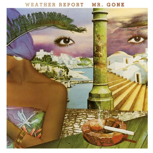 MR. GONE -COLOURED-