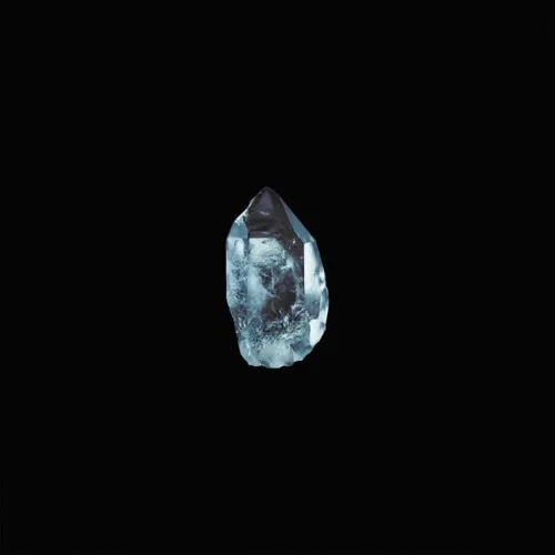 THE CIRCLE [LP]