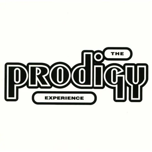 EXPERIENCE