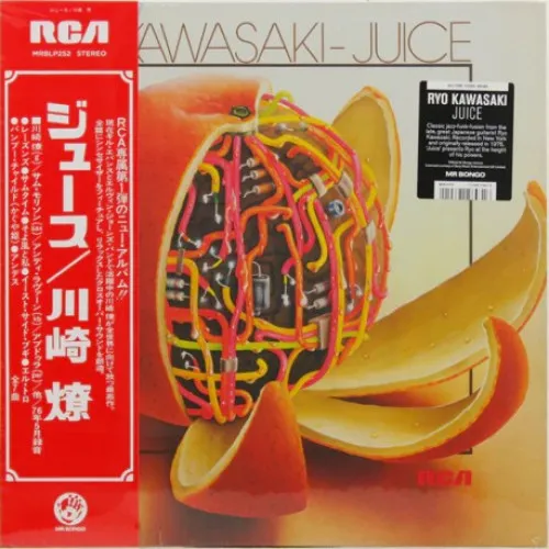 JUICE-NB 
