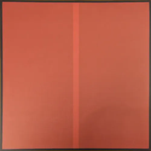 Struggler LP BLACK