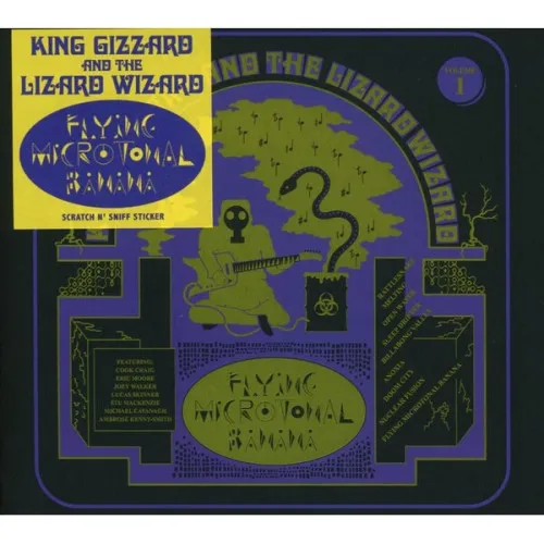 Flying Microtonal Banana LP 