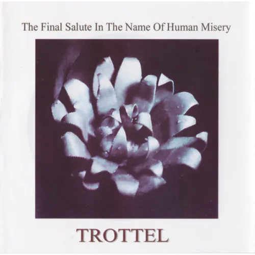 The Final Salute 1991 