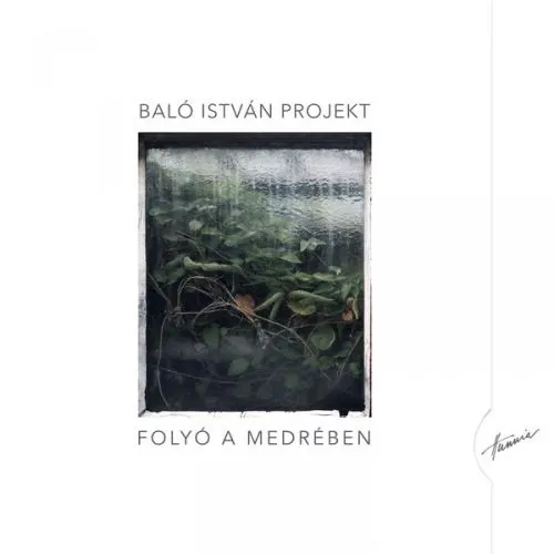 Folyó a medrében