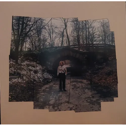 More Photographs A Continuum LP BLACK