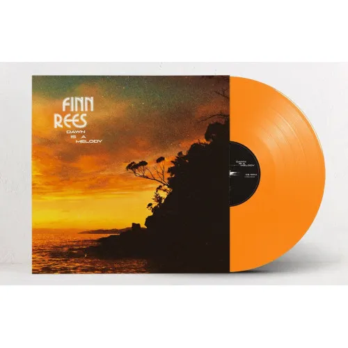 DAWN IS A MELODY-ORANGE