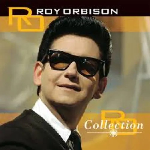 COLLECTION-YELLOW TRANSPARENT