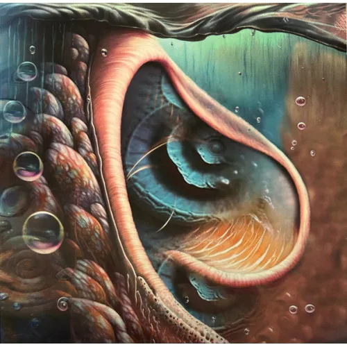 Meddle Reimagined - A Tribute To Pink Floyd LP HAZE
