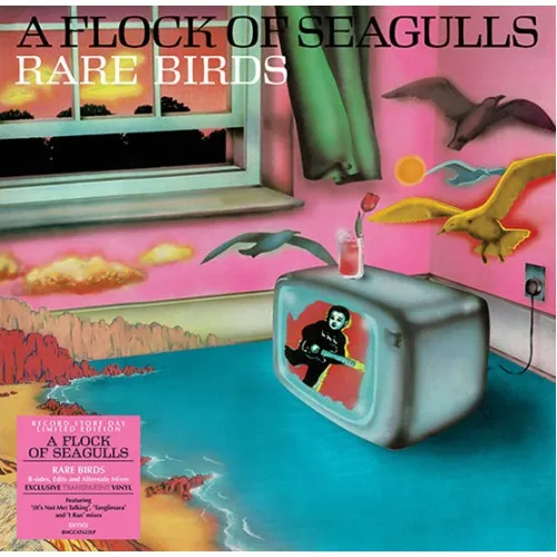 Rare Birds - 'A -Rsd- Of Seagulls' B-Sides, Edits And Alternate