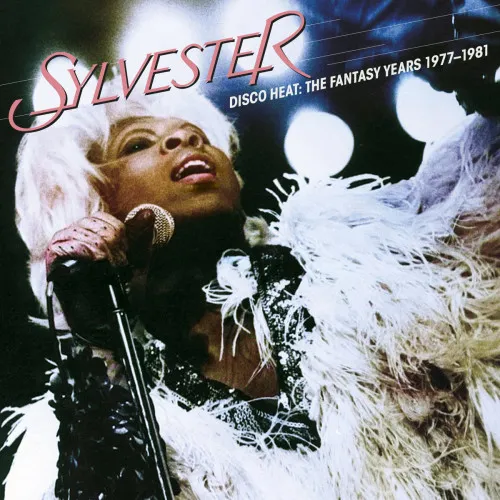 DISCO HEAT: THE FANTASY..