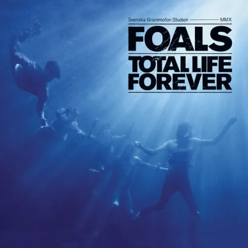 TOTAL LIFE FOREVER (140 GR 12
