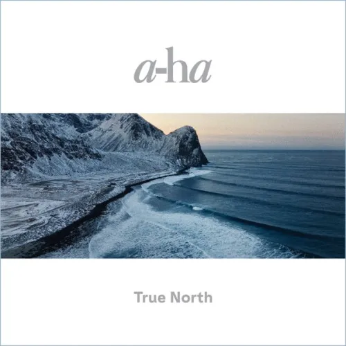 TRUE NORTH -LTD-