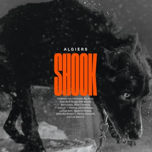 Shook -Indie/Coloured gold vinyl
