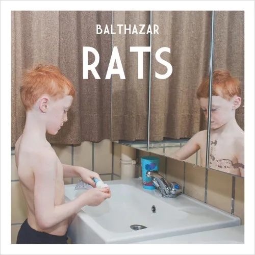 Rats LP ORANGE