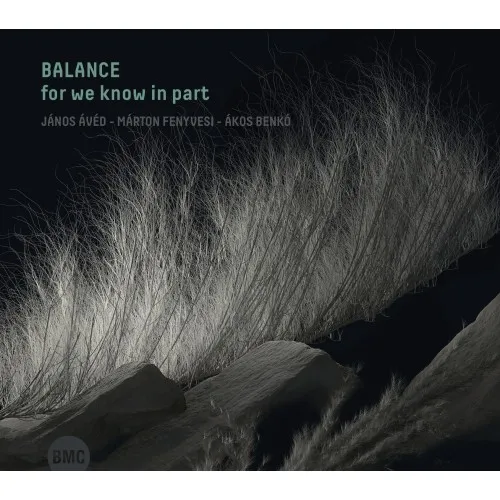 Ávéd-Fenyvesi-Benkó - Balance