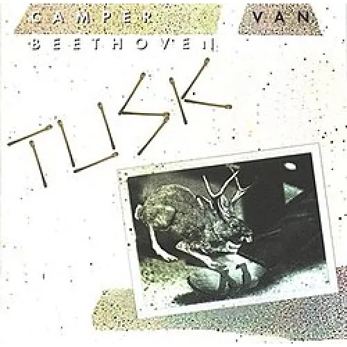 Tusk