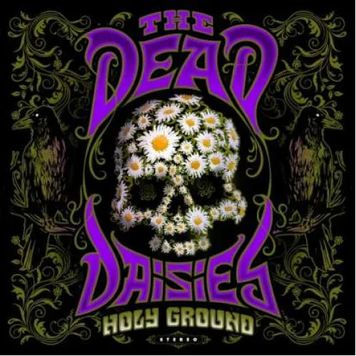 HOLY GROUND - DEDIKÁLT -purple transparent