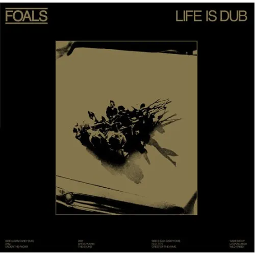 LIFE IS DUB (140 GR 12