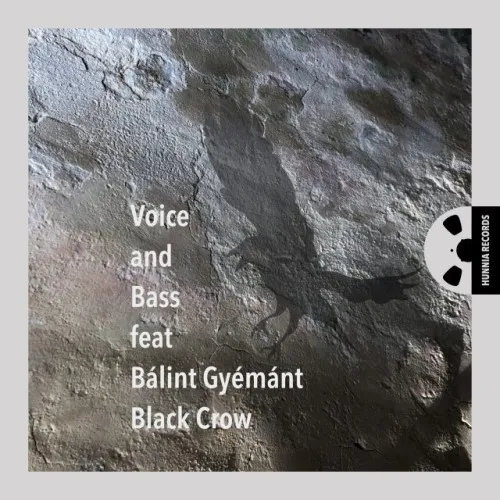 Voice and Bass feat. Bálint Gyémánt - Black Crow