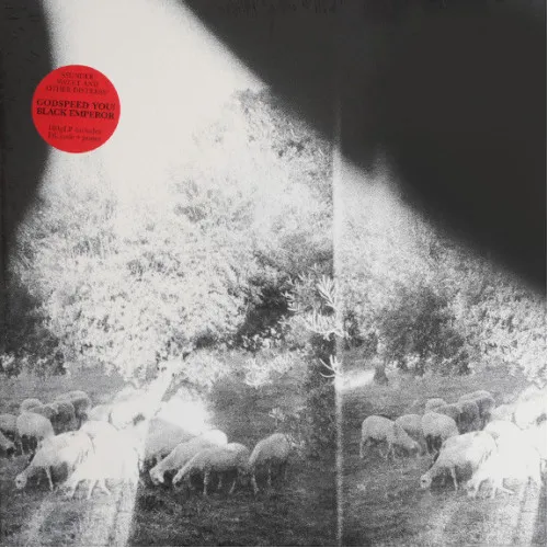 Asunder Sweet And Other Distress LP