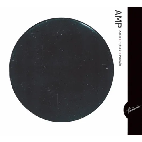 A.M.P. TRIO Ajtai , Miklós, Pozsár - …the first