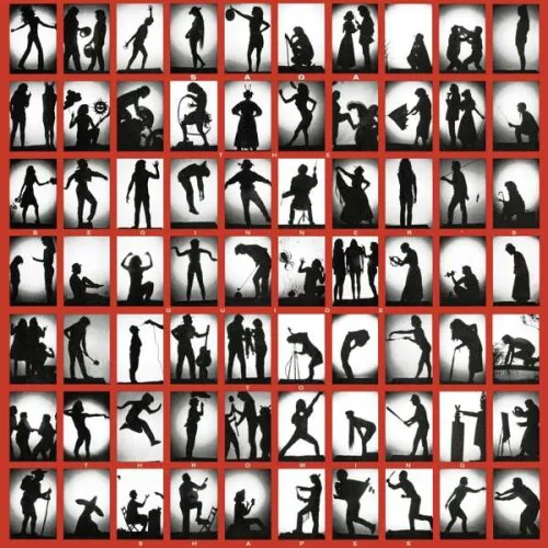 The Beginner's Guide Of Throwing Shapes LP