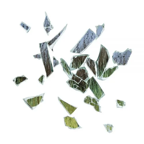 FIELD OF REEDS -ANNIVERS-10 ANNIVERSARY / INCL. ETCH ON SIDE D
