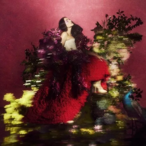 Superbloom Standard CD